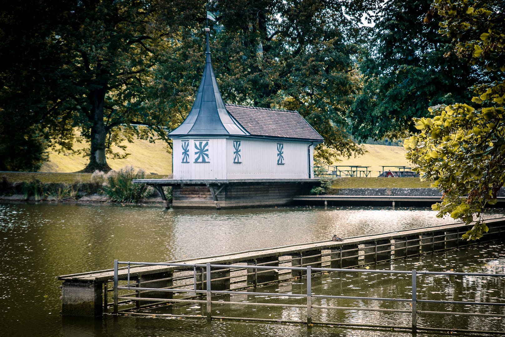 Nahe Fotostudio in St. Gallen liegt ein Schönste Natur Fotolocation der Stadt: 3 Weihern beim Freudenberg